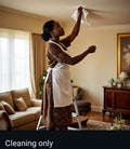 Cleaning services